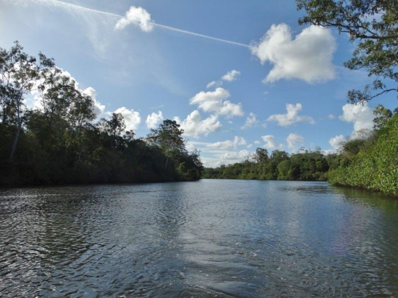 910 Taunton Road, Taunton QLD 4674