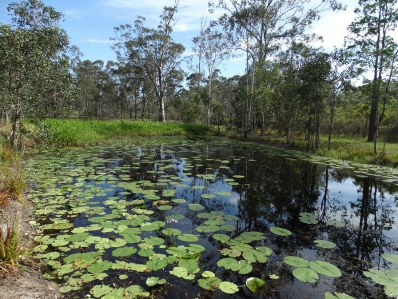 170 Bottle Creek Road, Rosedale QLD 4674