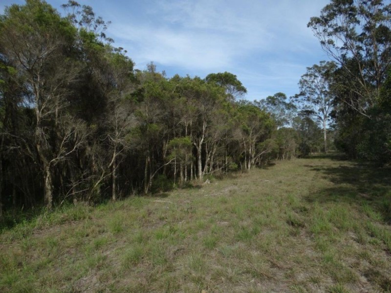 170 Bottle Creek Road, Rosedale QLD 4674