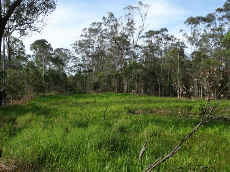 170 Bottle Creek Road, Rosedale QLD 4674