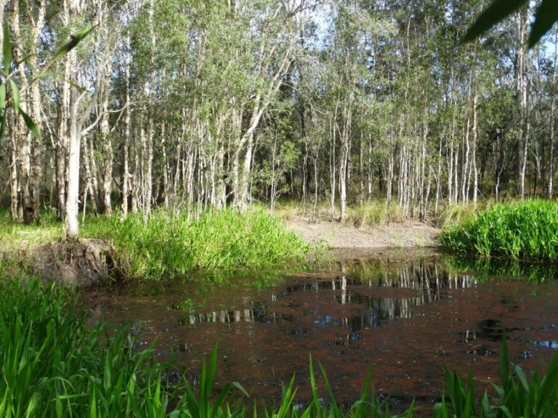 170 Bottle Creek Road, Rosedale QLD 4674