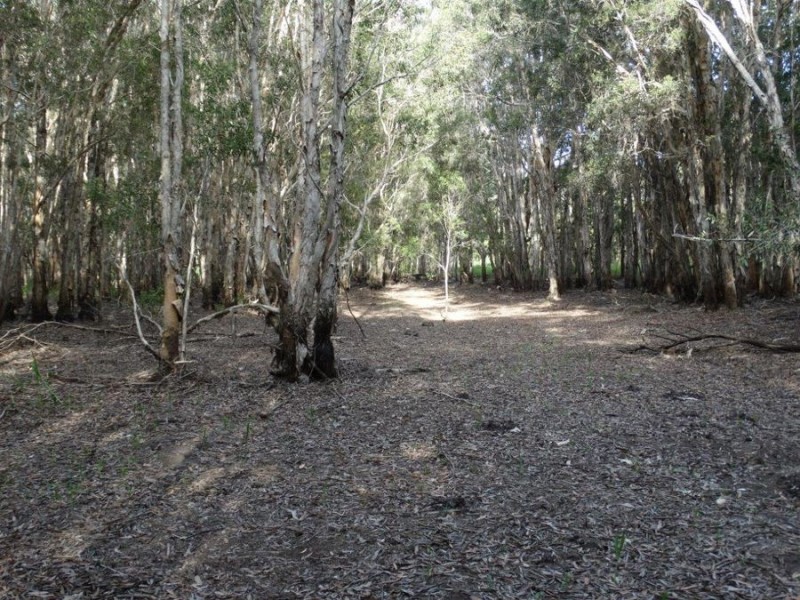 170 Bottle Creek Road, Rosedale QLD 4674