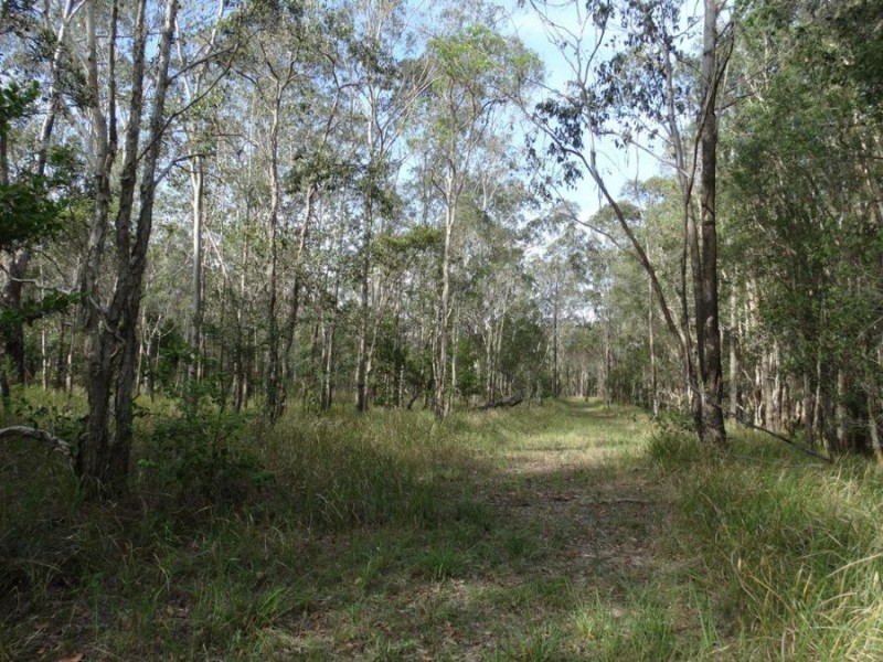 170 Bottle Creek Road, Rosedale QLD 4674