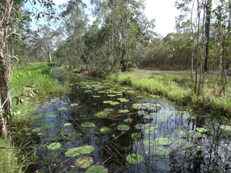 170 Bottle Creek Road, Rosedale QLD 4674