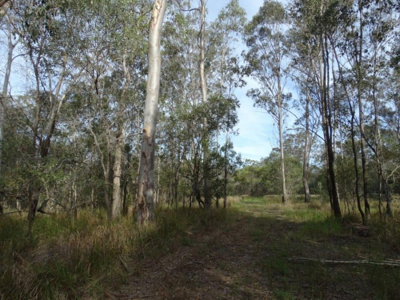 170 Bottle Creek Road, Rosedale QLD 4674