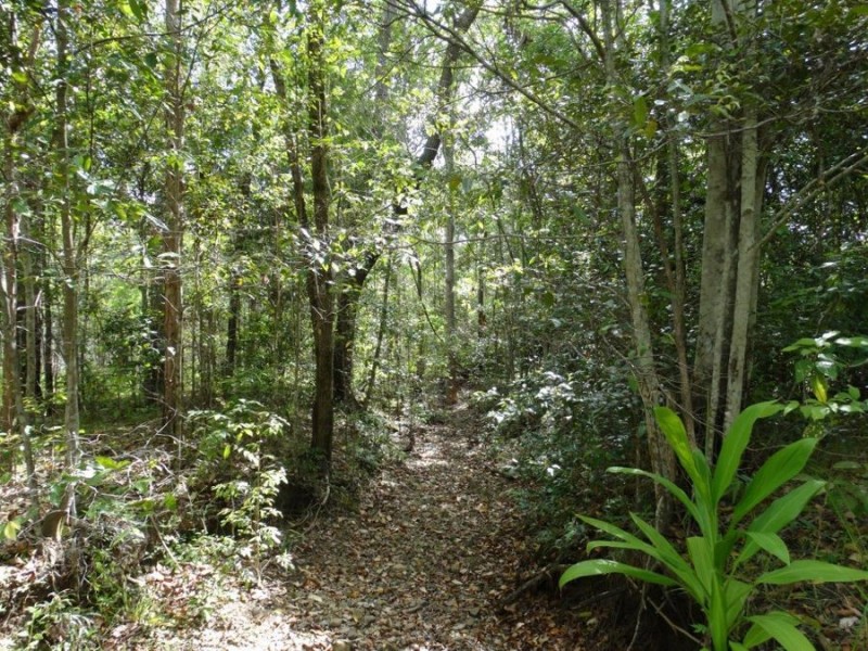 43196 Bruce Highway, Miriam Vale QLD 4677