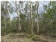 43196 Bruce Highway, Miriam Vale QLD 4677