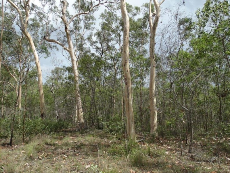43196 Bruce Highway, Miriam Vale QLD 4677