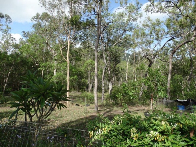 43196 Bruce Highway, Miriam Vale QLD 4677