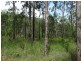 43196 Bruce Highway, Miriam Vale QLD 4677