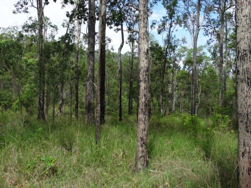 43196 Bruce Highway, Miriam Vale QLD 4677
