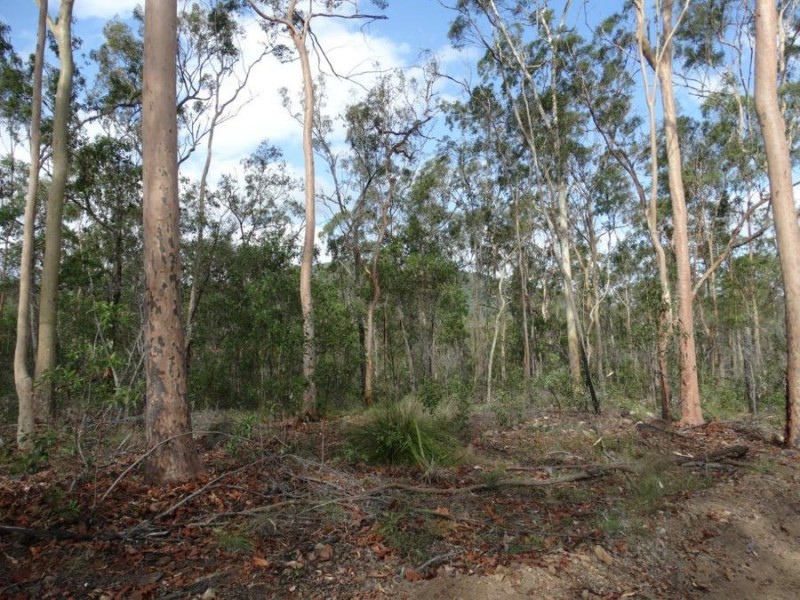 43196 Bruce Highway, Miriam Vale QLD 4677