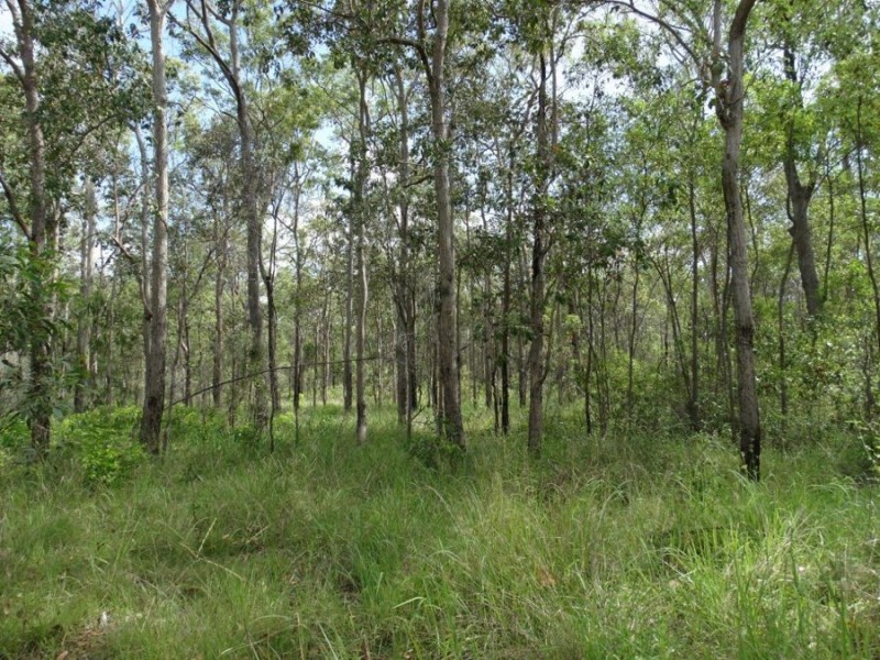 43196 Bruce Highway, Miriam Vale QLD 4677