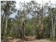 43196 Bruce Highway, Miriam Vale QLD 4677