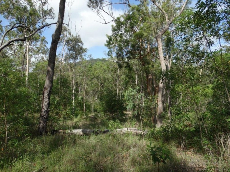 43196 Bruce Highway, Miriam Vale QLD 4677