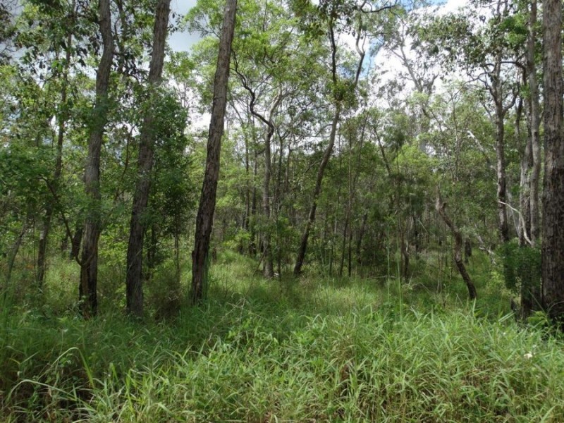 43196 Bruce Highway, Miriam Vale QLD 4677