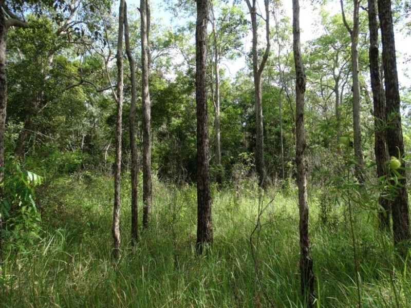 43196 Bruce Highway, Miriam Vale QLD 4677