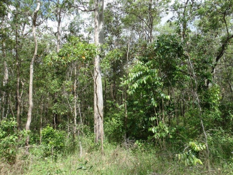 43196 Bruce Highway, Miriam Vale QLD 4677