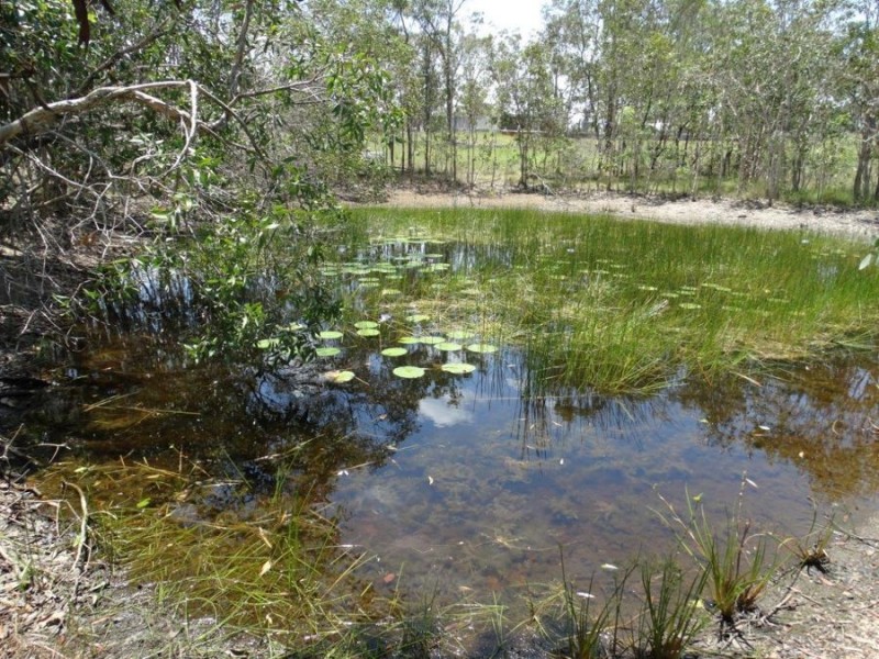 Lot 8 Cross Road, Mount Maria QLD 4674