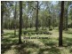 310 Muller Road, Baffle Creek QLD 4674