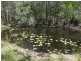 310 Muller Road, Baffle Creek QLD 4674