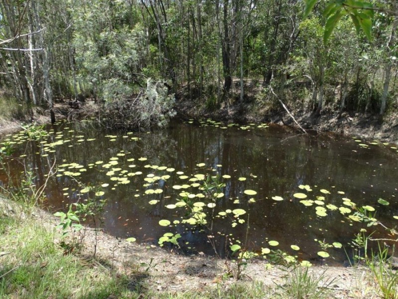 310 Muller Road, Baffle Creek QLD 4674