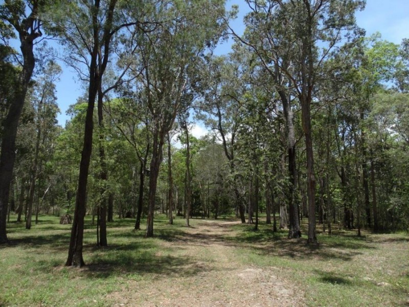310 Muller Road, Baffle Creek QLD 4674