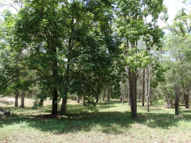 310 Muller Road, Baffle Creek QLD 4674