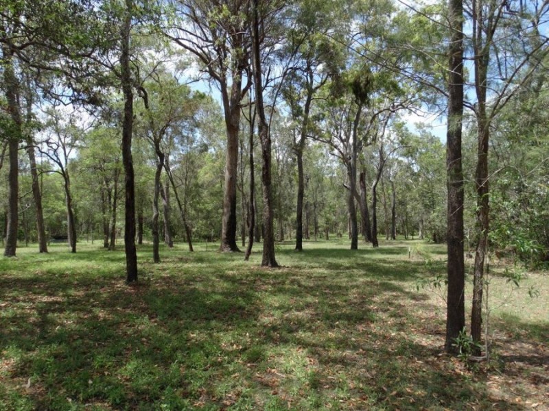 310 Muller Road, Baffle Creek QLD 4674