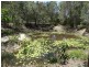 310 Muller Road, Baffle Creek QLD 4674