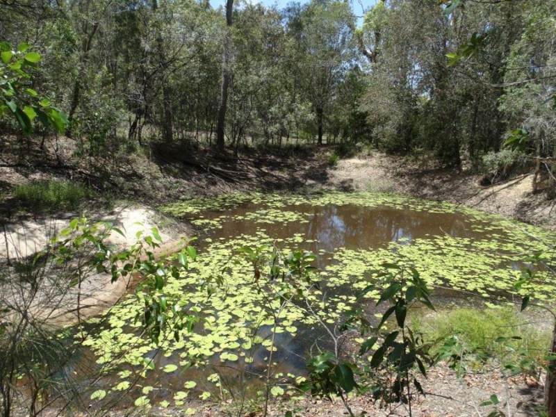 310 Muller Road, Baffle Creek QLD 4674