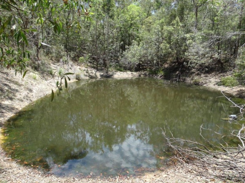 310 Muller Road, Baffle Creek QLD 4674