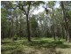 310 Muller Road, Baffle Creek QLD 4674