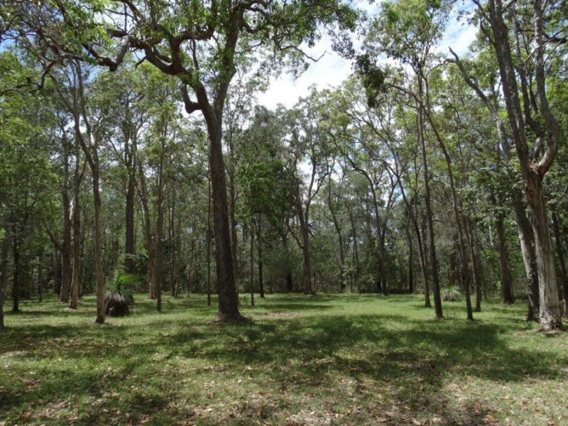 310 Muller Road, Baffle Creek QLD 4674