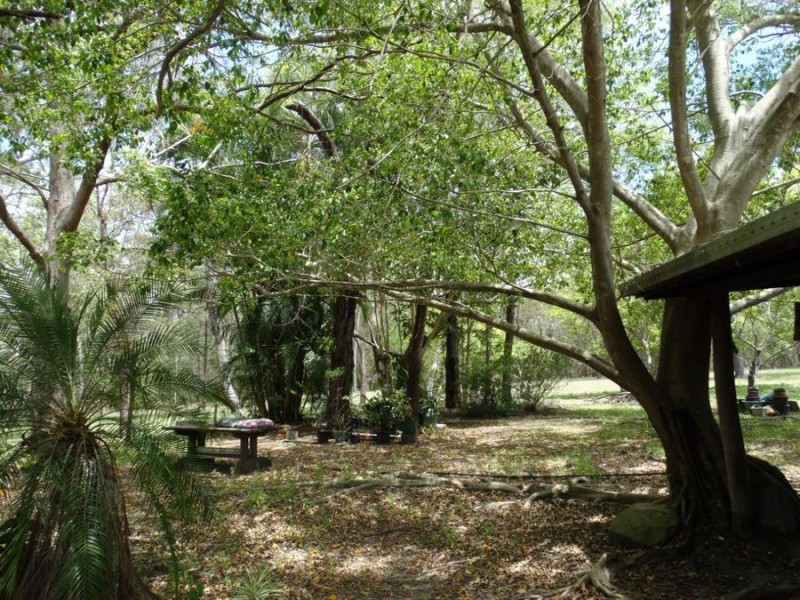 310 Muller Road, Baffle Creek QLD 4674
