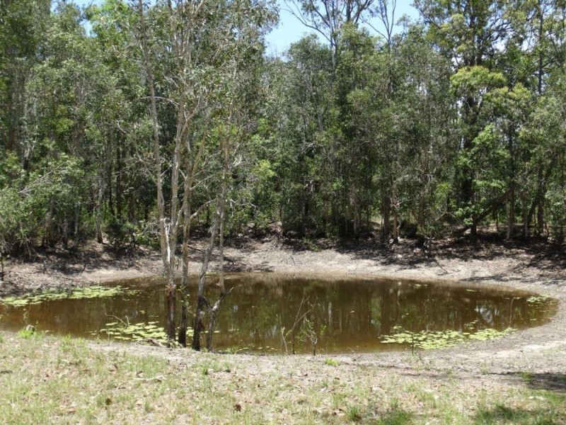 310 Muller Road, Baffle Creek QLD 4674