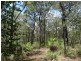 310 Muller Road, Baffle Creek QLD 4674