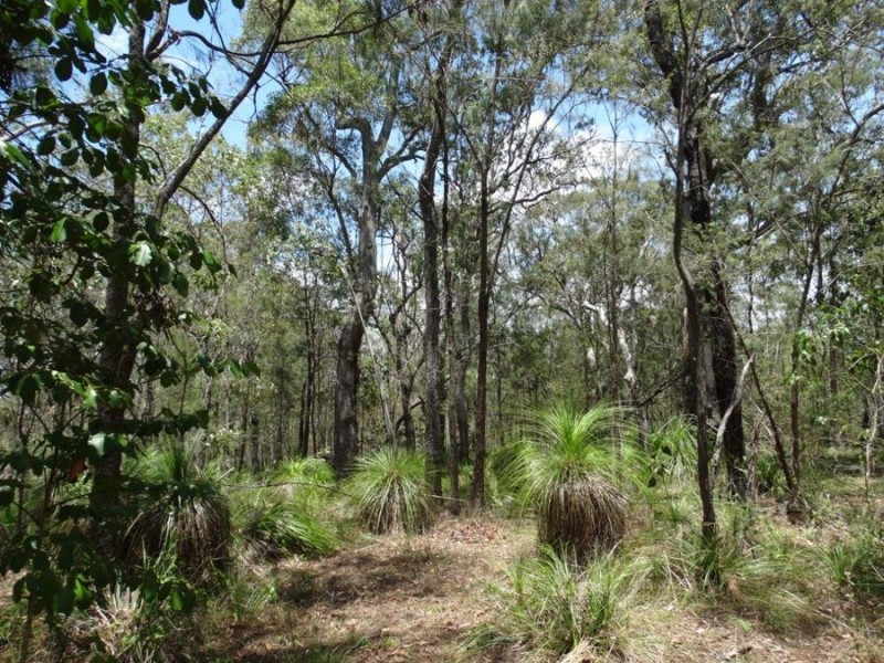 310 Muller Road, Baffle Creek QLD 4674