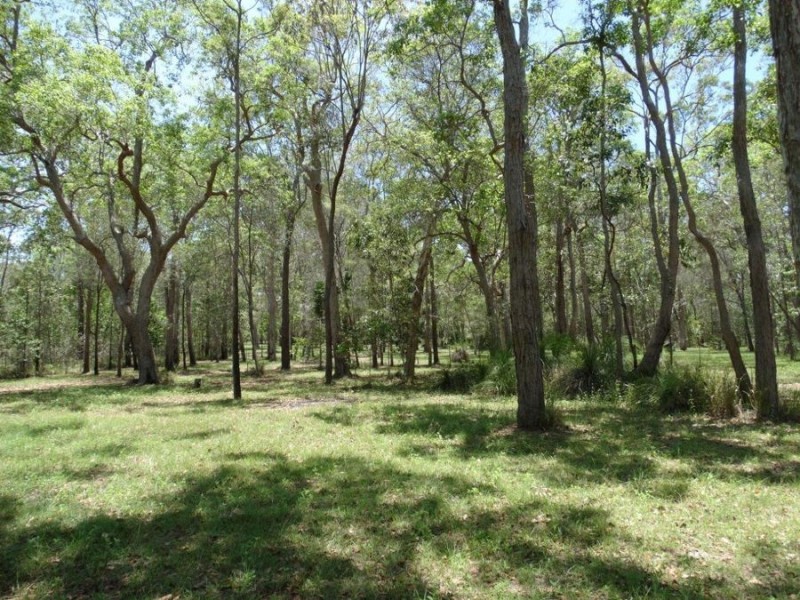 310 Muller Road, Baffle Creek QLD 4674