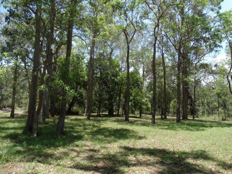 310 Muller Road, Baffle Creek QLD 4674