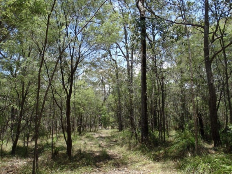 310 Muller Road, Baffle Creek QLD 4674