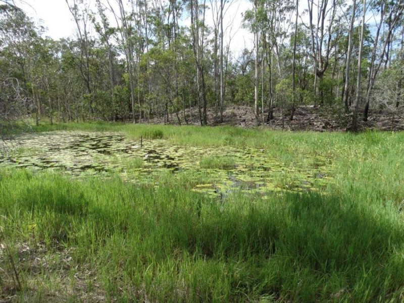 317 Whytallabah Road, Euleilah QLD 4674