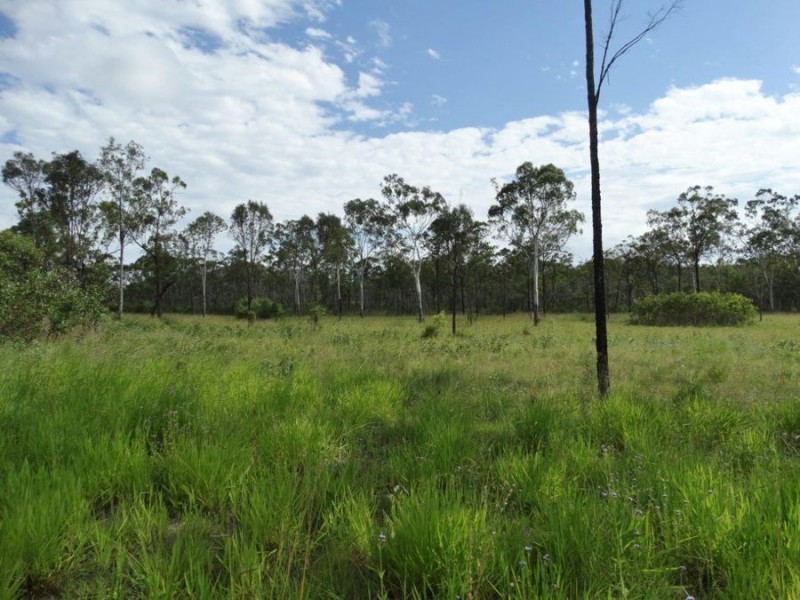 317 Whytallabah Road, Euleilah QLD 4674