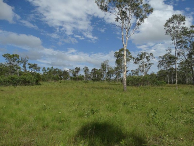 317 Whytallabah Road, Euleilah QLD 4674