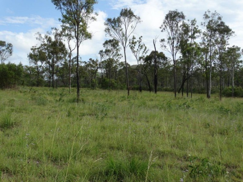 317 Whytallabah Road, Euleilah QLD 4674