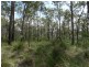 317 Whytallabah Road, Euleilah QLD 4674