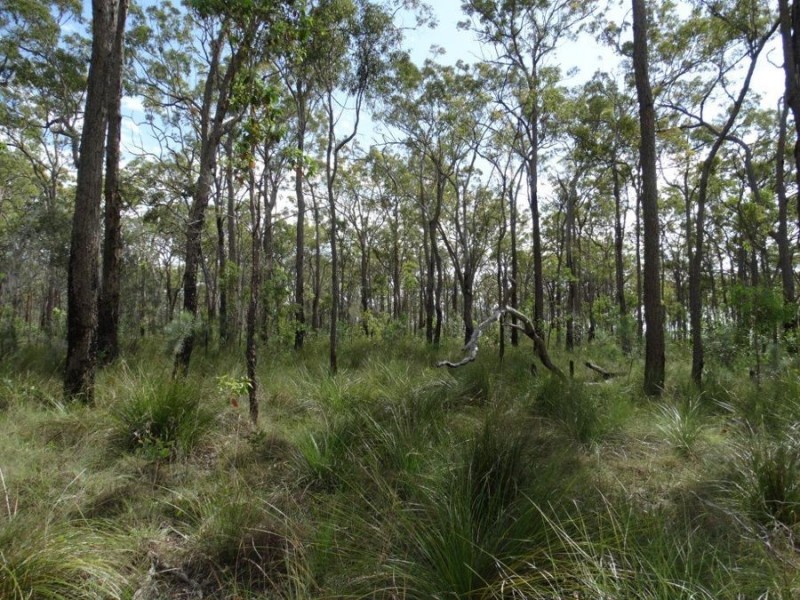 317 Whytallabah Road, Euleilah QLD 4674