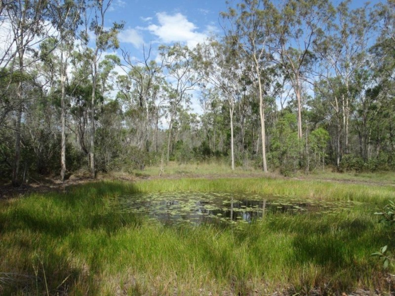 317 Whytallabah Road, Euleilah QLD 4674