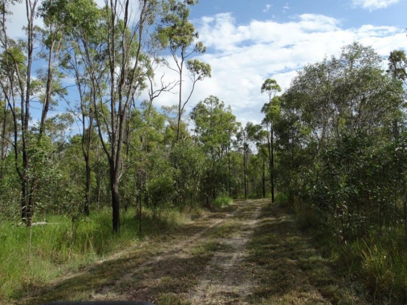 317 Whytallabah Road, Euleilah QLD 4674