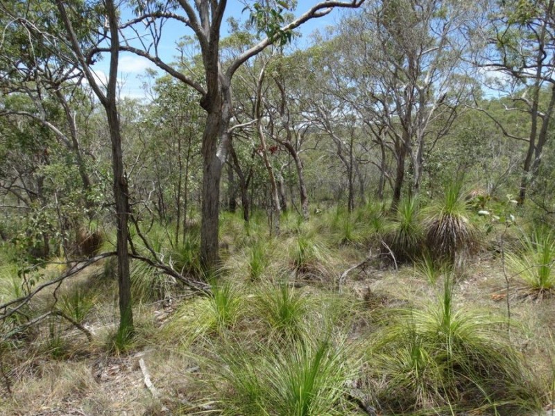 316 Anderson Way, Agnes Water QLD 4677